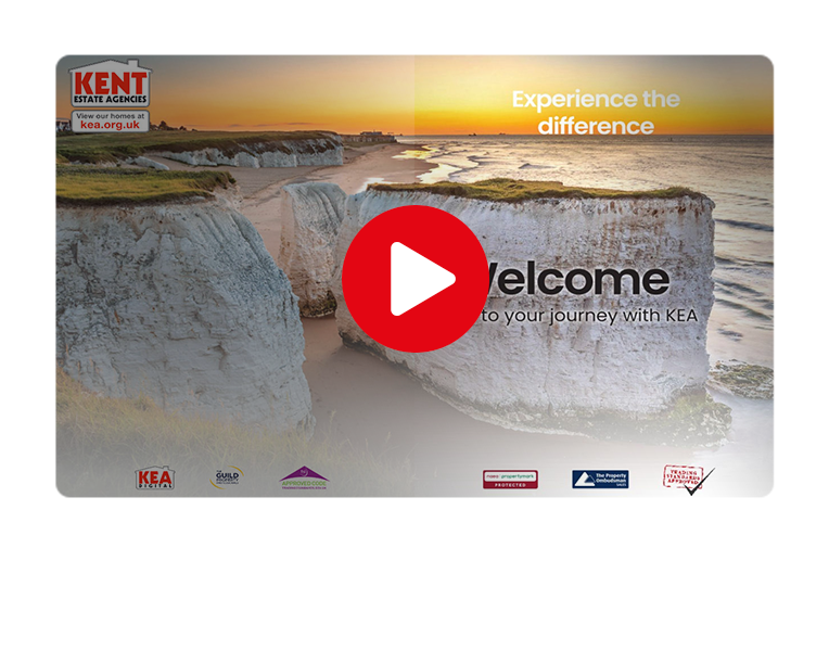 Remote Icon